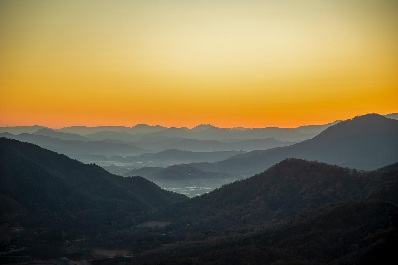 Mindful Mornings: How a Calmer Start Can Set the Tone for the Day